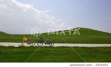 Parent and child bicycle 2916491