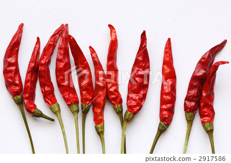紅辣椒（10排並排） 2917586