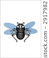 flies 2917982