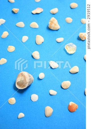 Seashell (background) 2919512