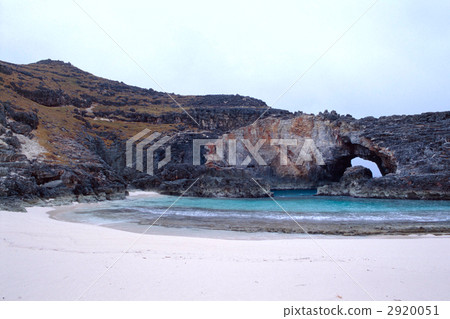 World Heritage Ogasawara Islands, fan fans in the South Island. Tokyo · Ogasawara Village. Shooting in 1999 World Heritage Ogasawara Islands, fan fans in the South Island. Tokyo · Ogasawara Village. Shooting in 1999 2920051