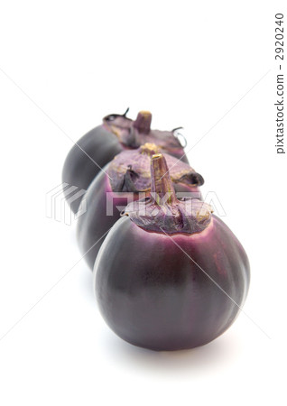 圓形茄子垂直排列 2920240