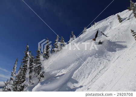 惠斯勒 冬季運動 滑雪板 2920708