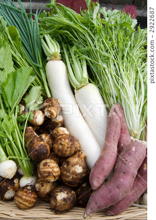 蔬菜集合 2922687