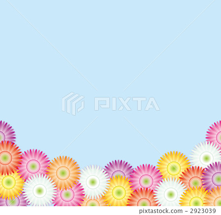 Blue bag full of gerberas 2923039