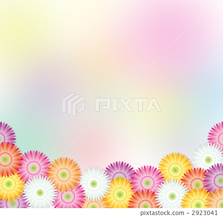 Rainbow color bag full of gerbera 2923041