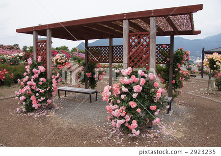 Sakaki Chikumagawa Rose Park Sakaki Chikumagawa Rose Park 2923235