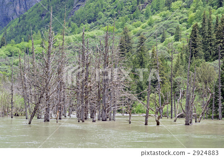 The withered Nada of Changpyeonggong 2924883