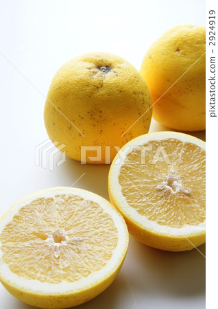 grapefruit  2924919