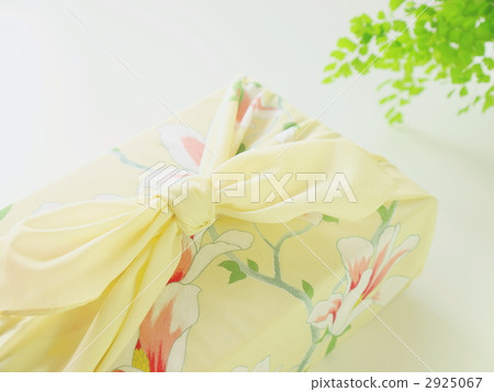 Furoshiki Wrap 2925067