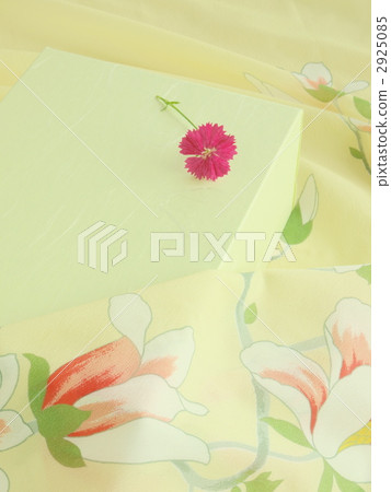 Furoshiki Wrap 2925085