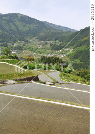 Hachiyo的稻田 Hachiyo的稻田 2925119