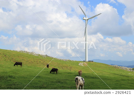 Windmill of Shikoku Karst 2926421