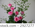 玫瑰 玫瑰花 分支 2927277