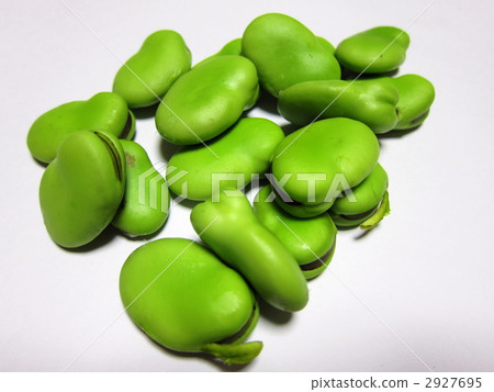 Broadcasting 2927695