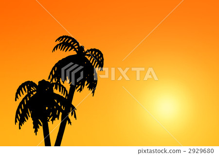 Palm tree Palm tree 2929680