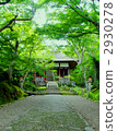 Kyoto Sagano Temple Nikkoji Greens cobblestone gates approaching 2930278