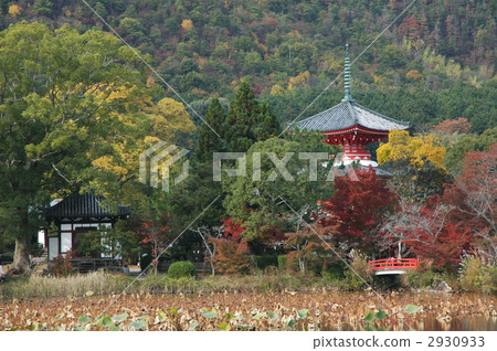 Kyoto Daikakuji Osawa Pond and Takaoka 2930933