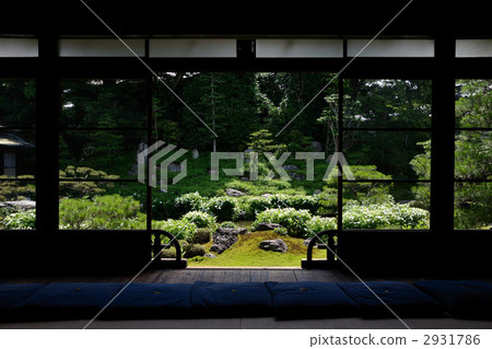 雙腿,半夏花園 雙腿,半夏花園 2931786