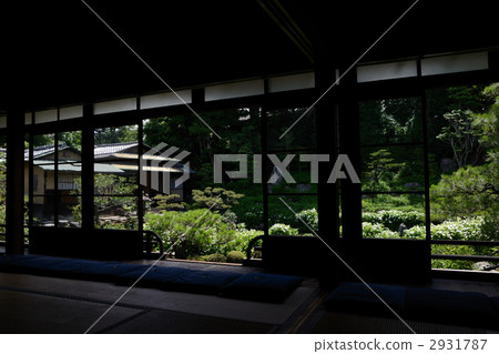雙腿,半夏花園 雙腿,半夏花園 2931787