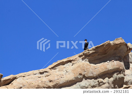 bare rock, male, man 2932181