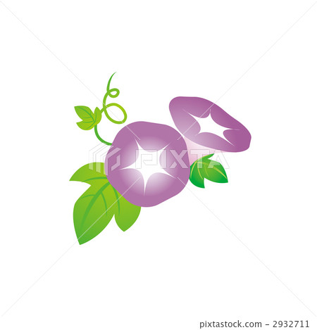 Purple morning glory illustration 2932711