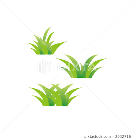 Grass illustration 2932716