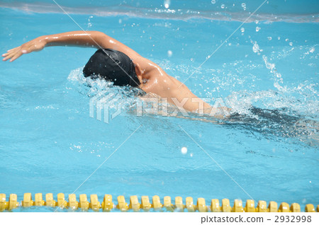 swimming 2932998