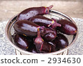 eggplant, food, foods 2934630