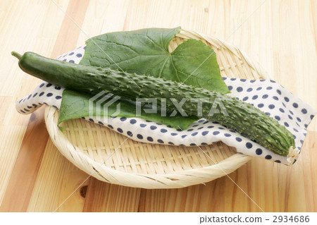 Cucumber (four leaves species) 2934686