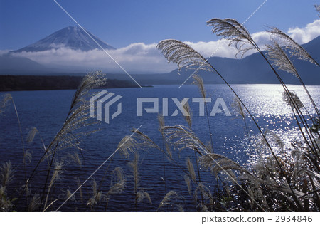 富士和Susuki 2934846