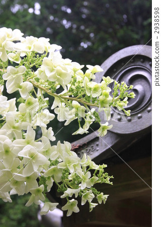 Tile and hydrangea Tile and hydrangea 2938598