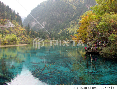 九寨溝·凱凱 2938615