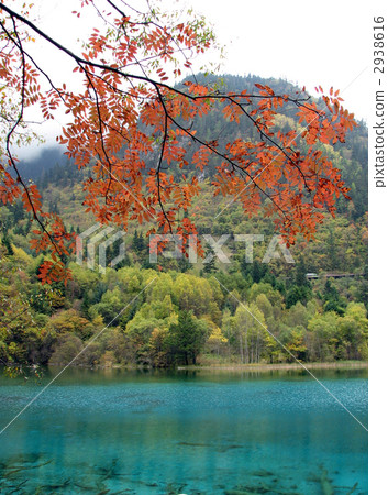 秋葉在九寨溝 2938616