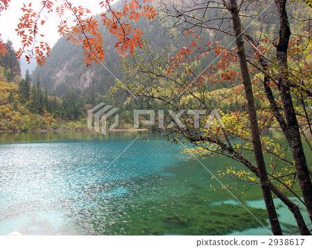 秋葉在九寨溝 2938617