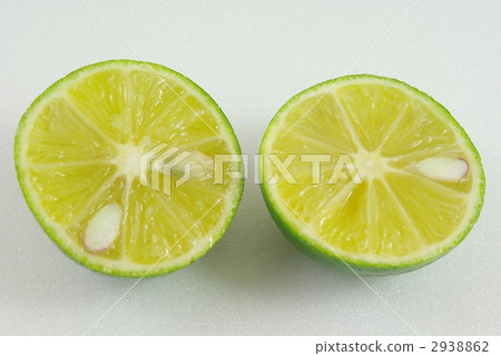 Kabosu Kabosu 2938862