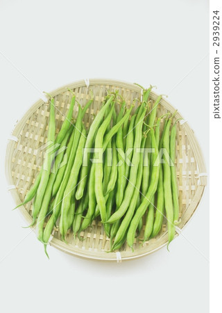 芸豆 芸豆 2939224