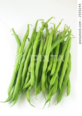 芸豆 芸豆 2939244