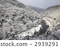 Snow scenery of Arashi Gorge 2939291