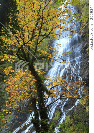 Tendaki秋葉 2939344