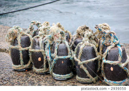 Takobo Takobo 2939350