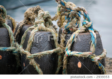 Takotsubo心肌 Takotsubo心肌 2939353