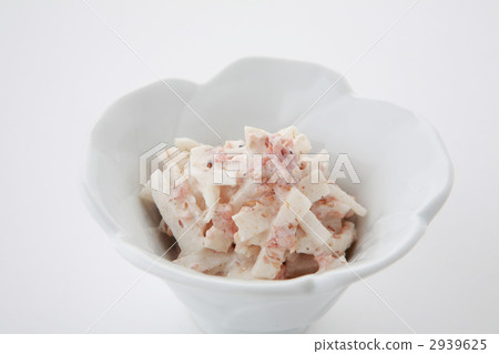 Japanese radish plum blossoms 2939625