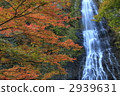 Autumn leaves of Tendaki 2939631