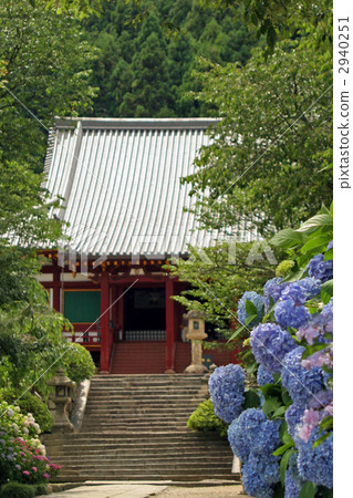 Hydrangea from Yada Temple 2940251