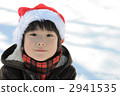 聖誕老人帽 2941535