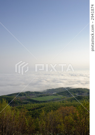 Hairless Pass 2941874