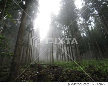 現場細化網站 2942822