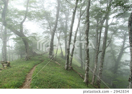 考試方式 2942834