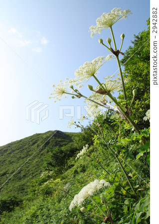 Blue sky Blue sky 2942882